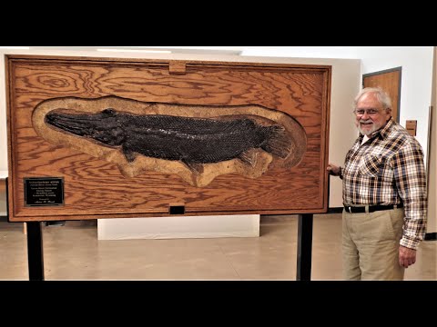 Fossil Fish of the Green River Formation with Mel Bersch