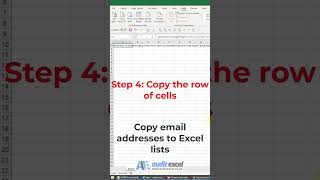 Copy email address to an Excel list