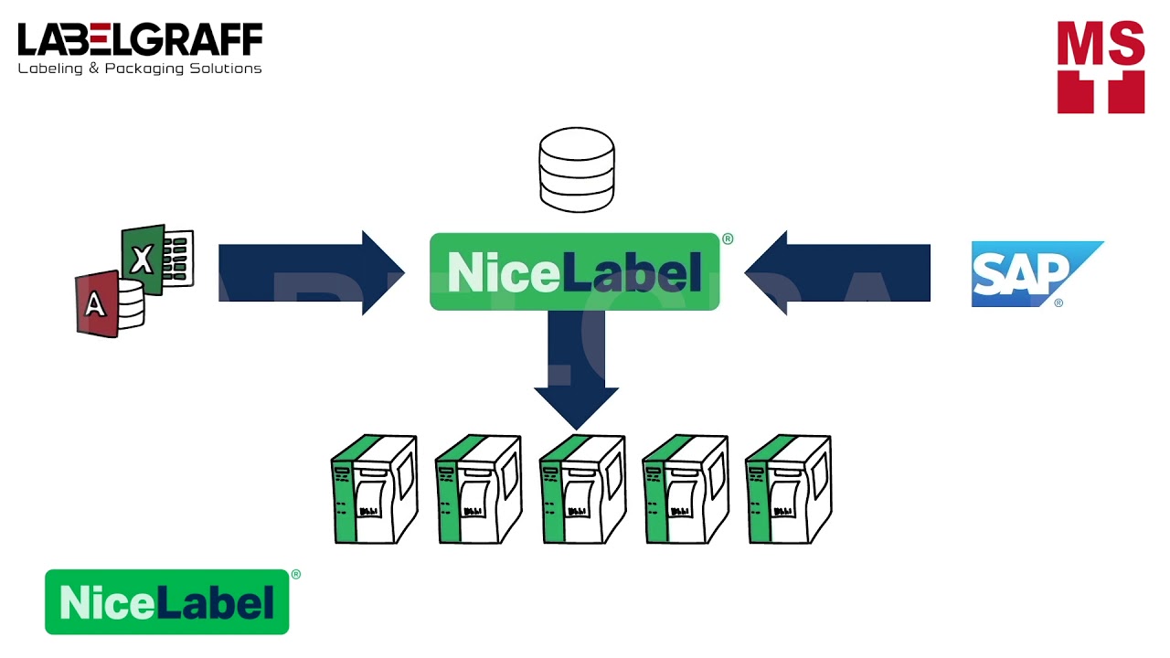 Why you Need Label Management System Software