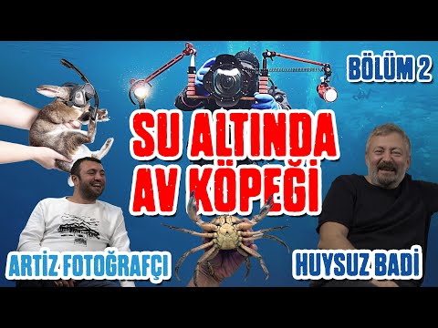 youtube-video-thumbnail