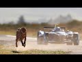 Bara Bara Bere Bere Remix Song Bara Bere Song A New Remix Bara Bere Song With Cheetah Vs Impala