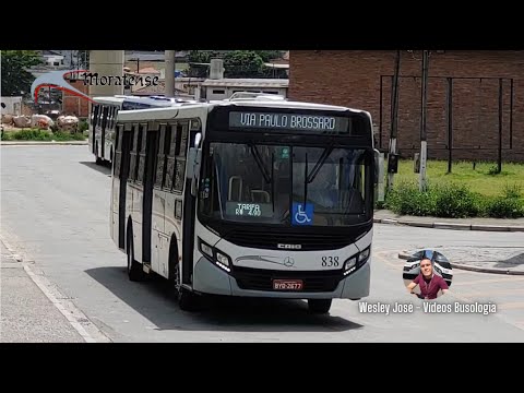 Moratense 838 - Apache VIP IV sc - MB OF-1724 BlueTec5