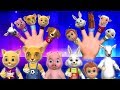 Finger Family Song - 3D Animals Finger Family Nursery Rhymes & Songs for Kids