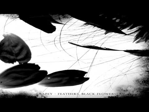 Apey - Spiders (Fethers,Black Flowers 2010)