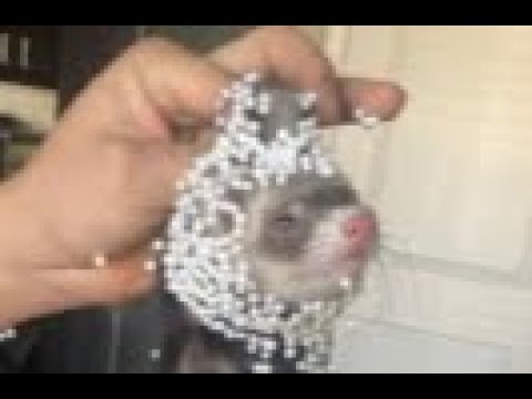 Ukigumo 95.47 356 bpm streams (GAMMA!!!!1!1!1!!)