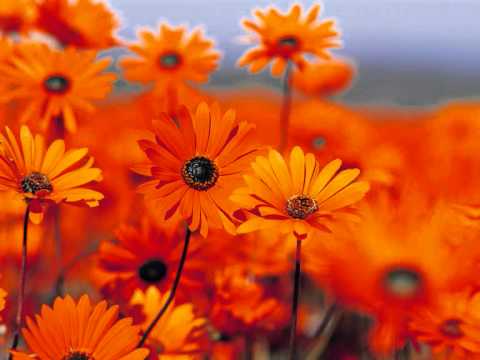 Jacques Loussier Trio - Gnossienne nº 4 - Erik Satie