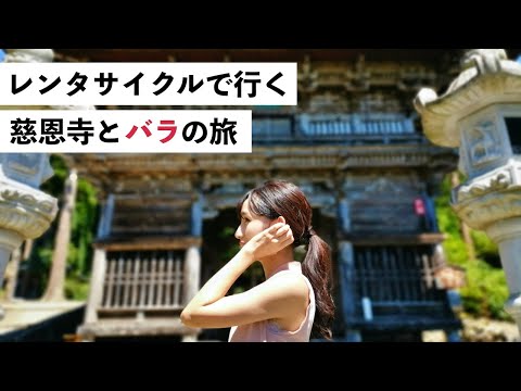 【寒河江市編】レンタサイクルで行く慈恩寺とバラ風呂の旅