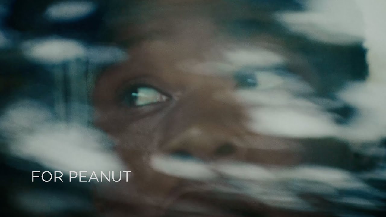 For Peanut