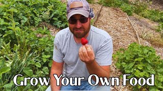 Plant Them Once You’ll Have Them Forever | Garden Update | May 14, 2025