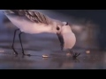 A Short Film Piper