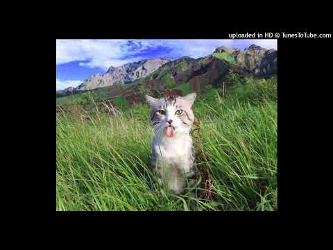 [FREE?!] trickman + wobble + bounce type beat! ~ “chips” (@jaydensinterlude + @outtheplastic)