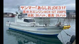 ヤンマー DE31F(あらしお) の紹介Youtube動画