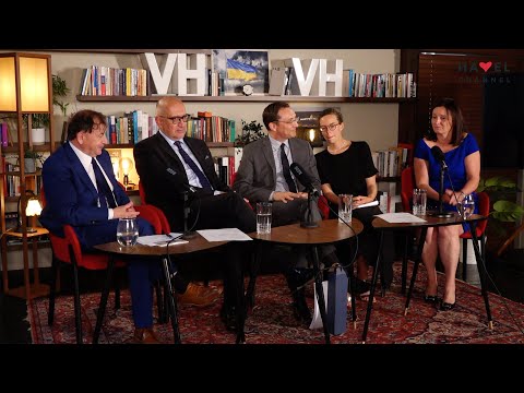 Přehrát video: Co může Česko nabídnout Evropské unii?