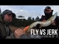 Fly vs Jerk 1 - Season 1