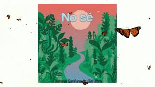 No sé- Ximena Sariñana ft. Girl Ultra [Reversed]