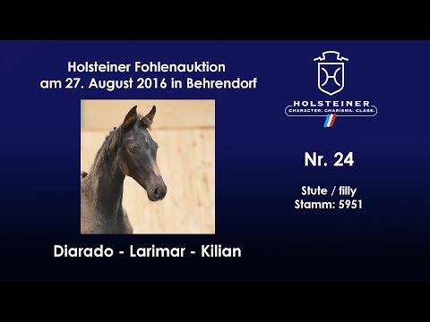 Holsteiner Fohlenauktion 2016 in Behrendorf - Nr. 24 v. Diarado - Larimar