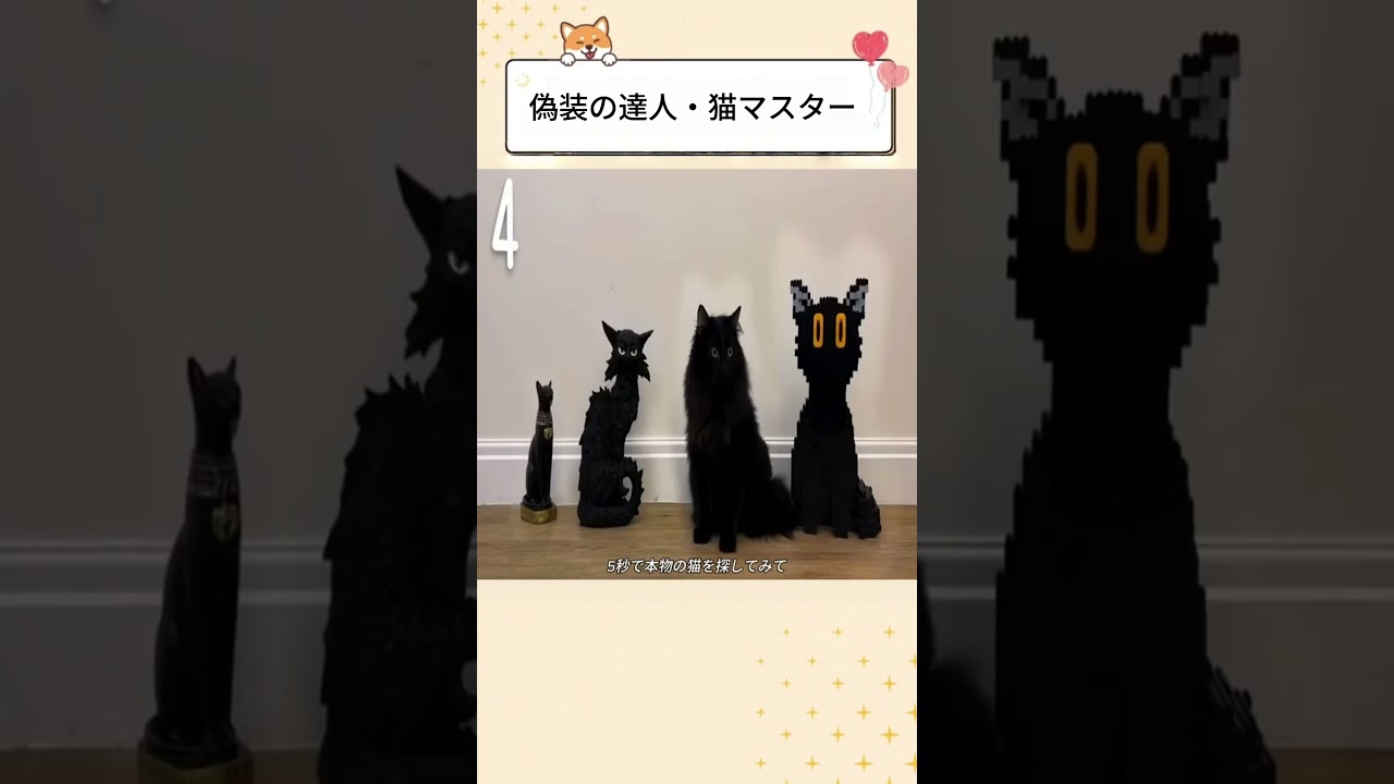 偽装の達人・猫マスター #感動する話