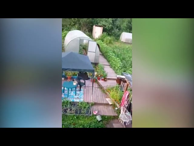 Медведь в Усть-Куте