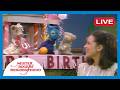Celebrations In The Neighborhood LIVE Mister Rogers Neighborhood