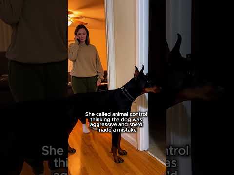 She Adopted A Senior Dog And He Saved Her Life That Same Night ❤️😢