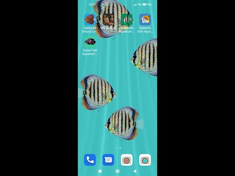 Discus Fish Aquarium LWP Video