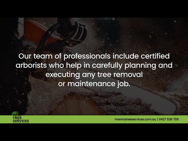 Riverina Tree Services - Leeton, NSW