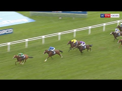 CALANDAGAN WINS THE QIPCO CHAMPION STAKES! 🏆 | Full race replay