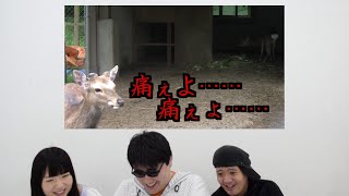 黒いビルさんが岡山へ行ってきた - 後編 -