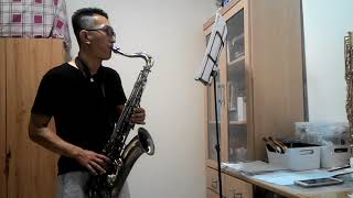 莊心妍~再見只是陌生人 Tenor saxophone