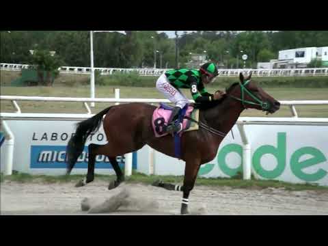 230224 c03 - HADDOCK (BRZ) - HIPODROMO LAS PIEDRAS