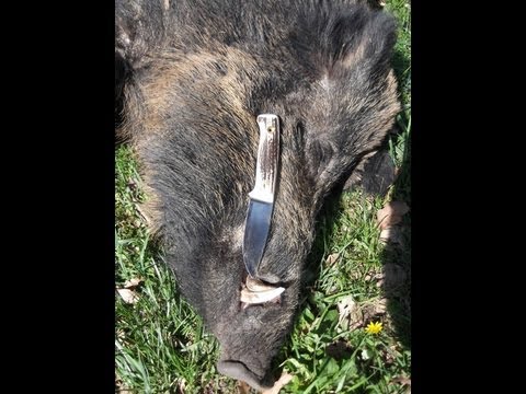 paraziták elleni kezelés a szervezetben