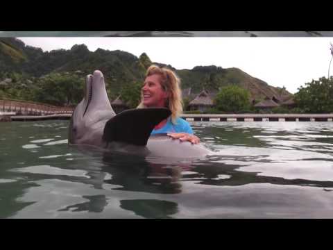 Tigga playing with Dolphins in Tahiti
