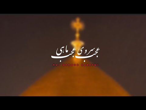 Ajab Sarvi Ajab Mahi | عجب سروی عجب ماہی | Haj Mehmod Kareemi | Noha Short Stutus | حاج محمود کریمی