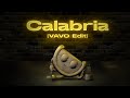 DMNDS – Calabria [VAVO Edit] feat. Fallen Roses, Lujavo & Lunis [Dance Fruits Release]