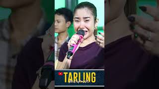 Download lagu ngaplang ngaplang #anikarnika  #tarlingmania #tarling #newarnikajaya #dangdut #hiburan #dangdutkoplo mp3