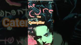 Download lagu The Cure: The Caterpillar #thecure #robertsmith #lifeisbutadream #youtubeshorts #music mp3 Download lagu The Cure: The Caterpillar #thecure #robertsmith #lifeisbutadream #youtubeshorts #music mp3