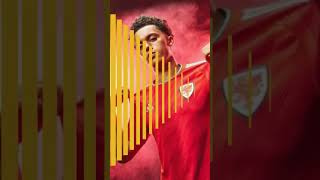 Camisa Da Seleção dos País de Gales Para Copa do Mundo 2022