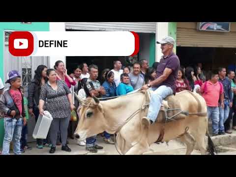 Multimedia Project Proposal – Technical English Presentation | Carrera de Bueyes de San Lorenzo N.