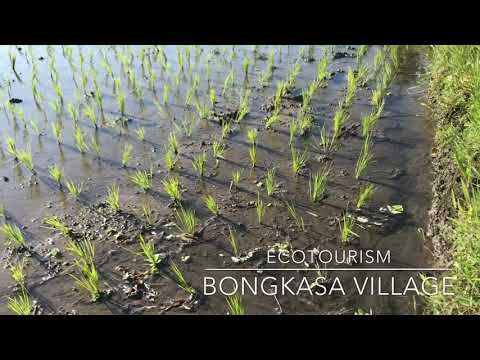 Bongkasa Village