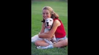 preview picture of video 'Wags And Tails Kennel NY Reviews - 631-924-7777 Call.'