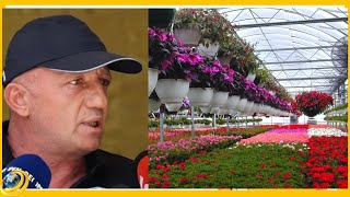 «Մենք էսօր արդեն ծաղիկ ենք թափում». ՍԱՏՄ պարզաբանումները ծաղիկ արտադրողներին չեն գոհացրել