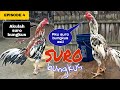 Ayam Bangkok Suro Bungkus Sekali Pukul Mati Mendadak Episode 4
