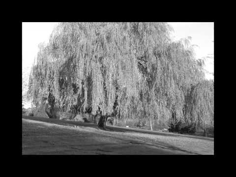 Willow Weep For Me - Cleo Laine (HD)