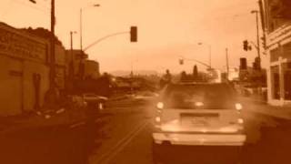 the swimming song by loudon wainwright iii