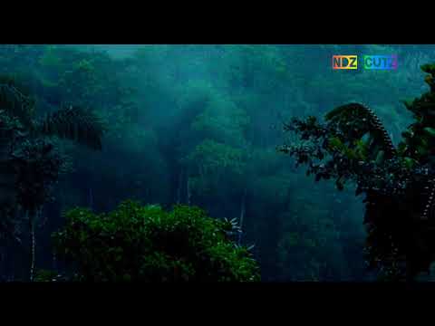 Surah Taha Rainy Effect