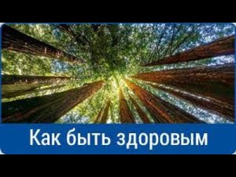 Квадратная мышца поясницы боль Летающая боль по спине