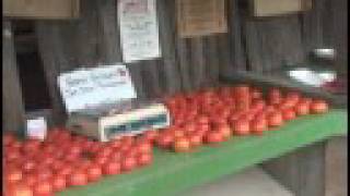 preview picture of video 'Washington Boro Tomato Festival'