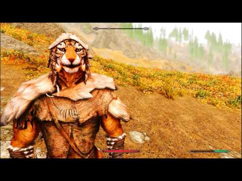 Skyrim Character Creation Overhaul modshowcase