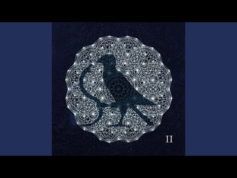 Gwiberod - Bwncath