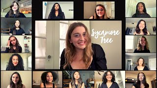 Sycamore Tree (Ruth B Cover)